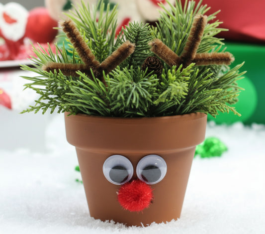 12/13 Kid's Centerpiece Workshop Saturday, December 13th, 10 am