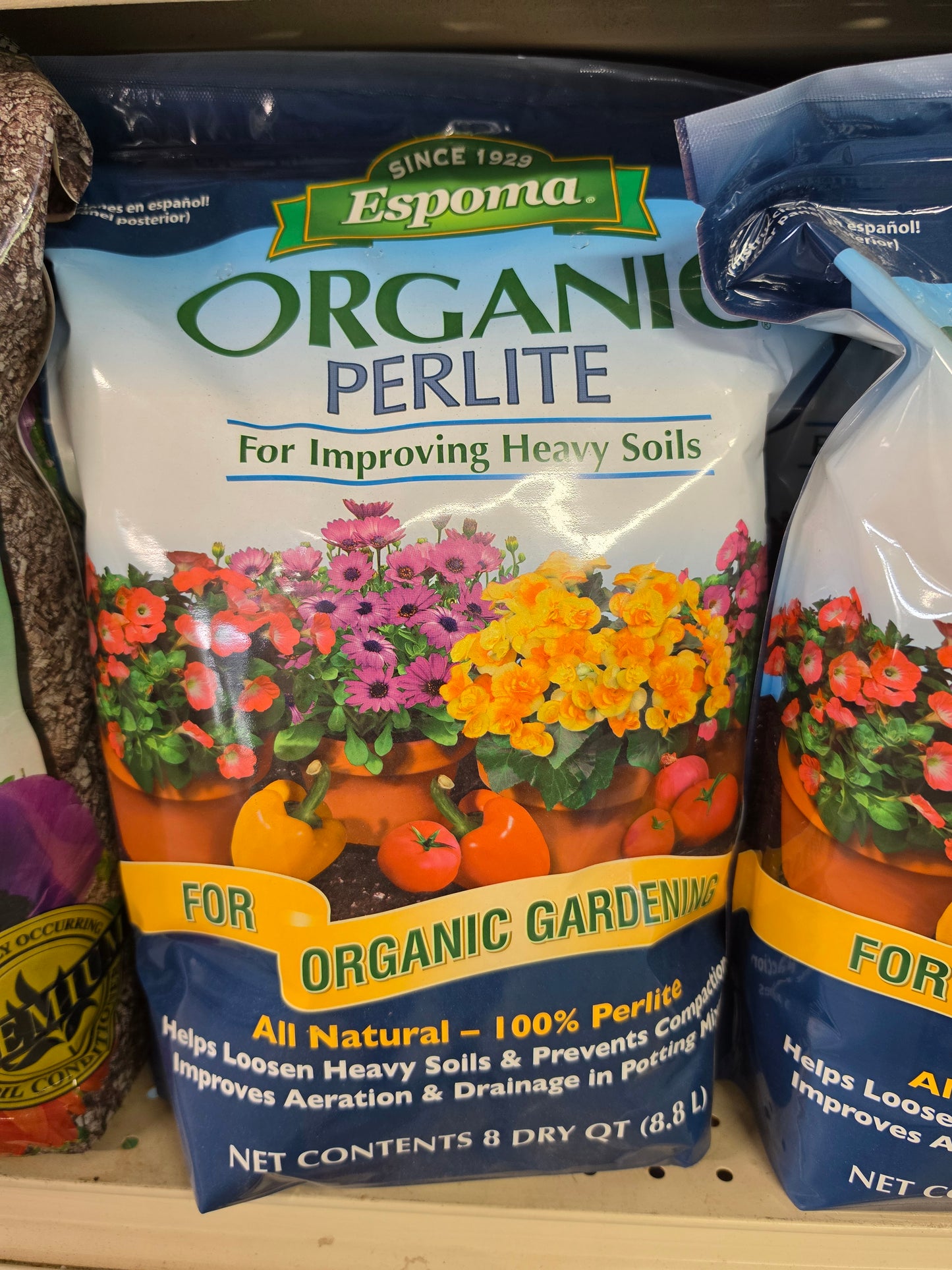 Houseplant Care