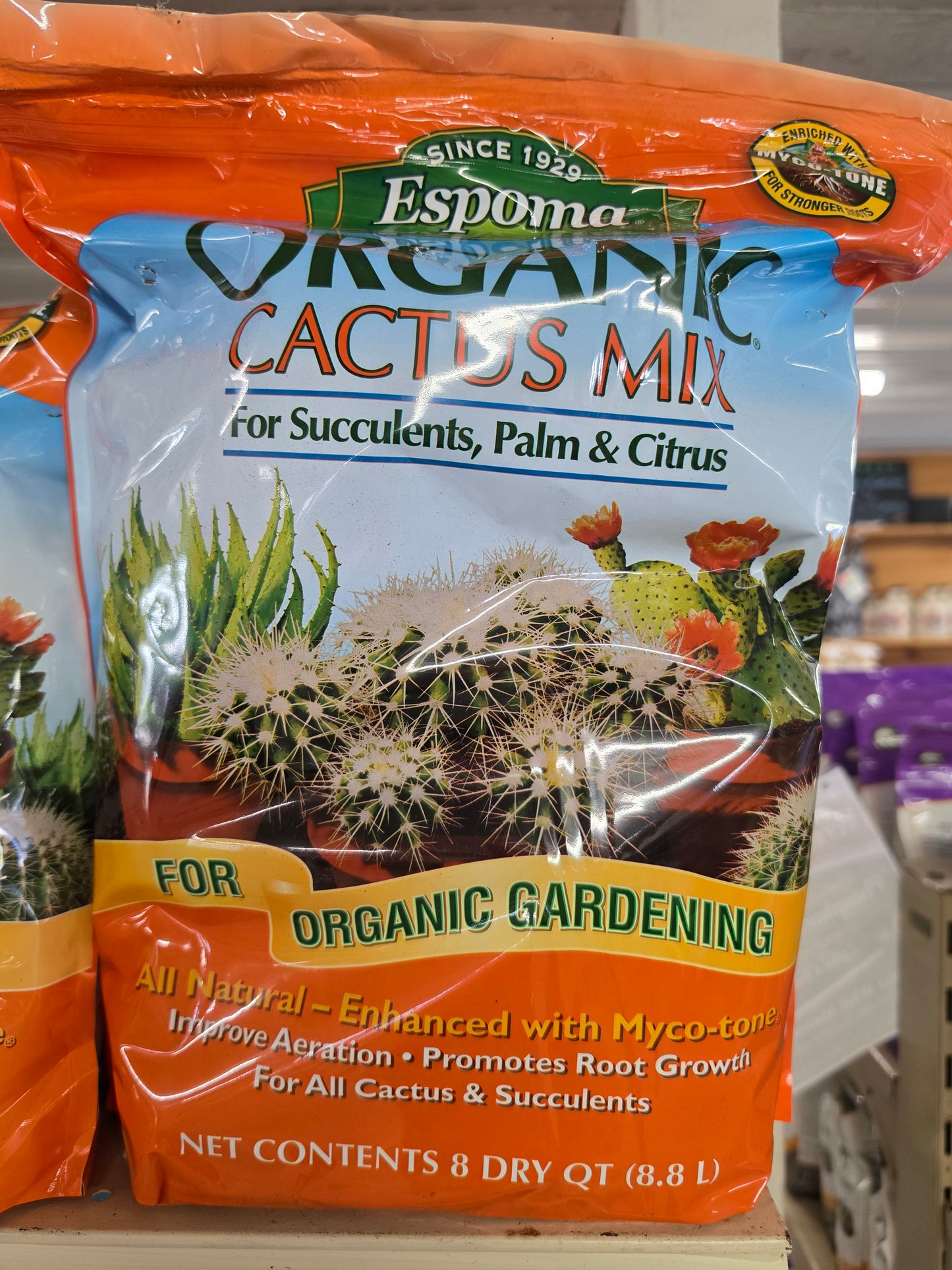 Houseplant Care