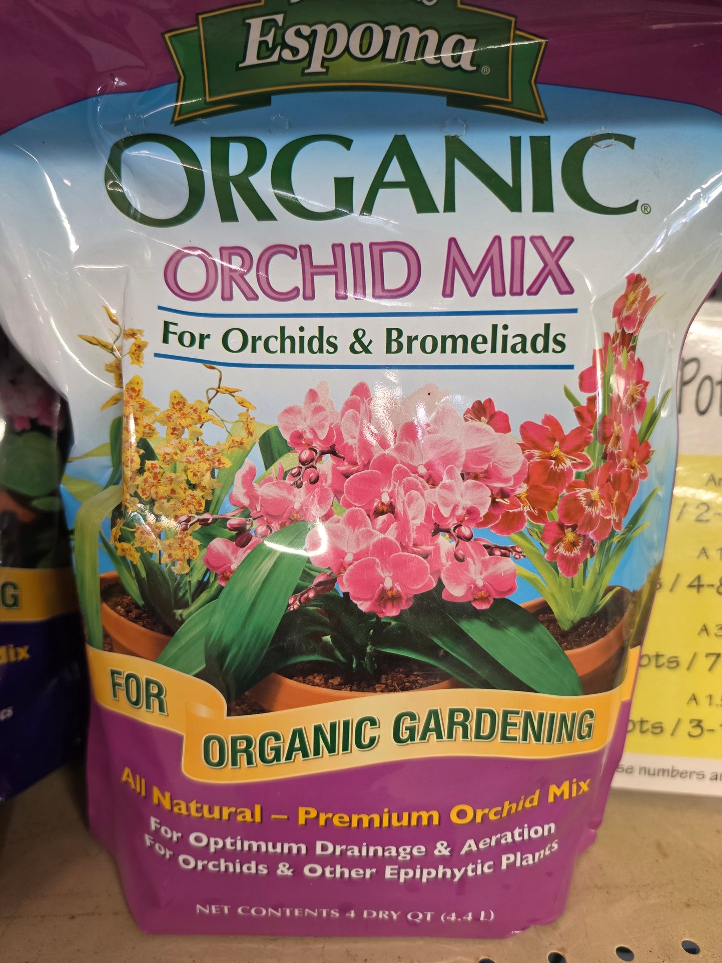 Houseplant Care