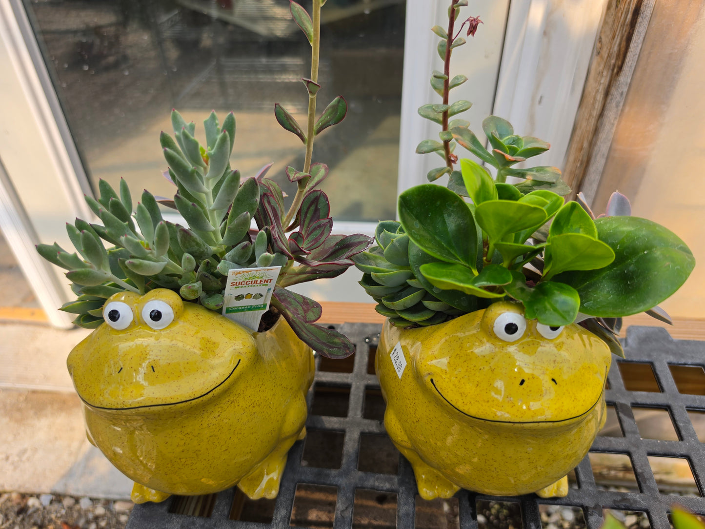 Planters