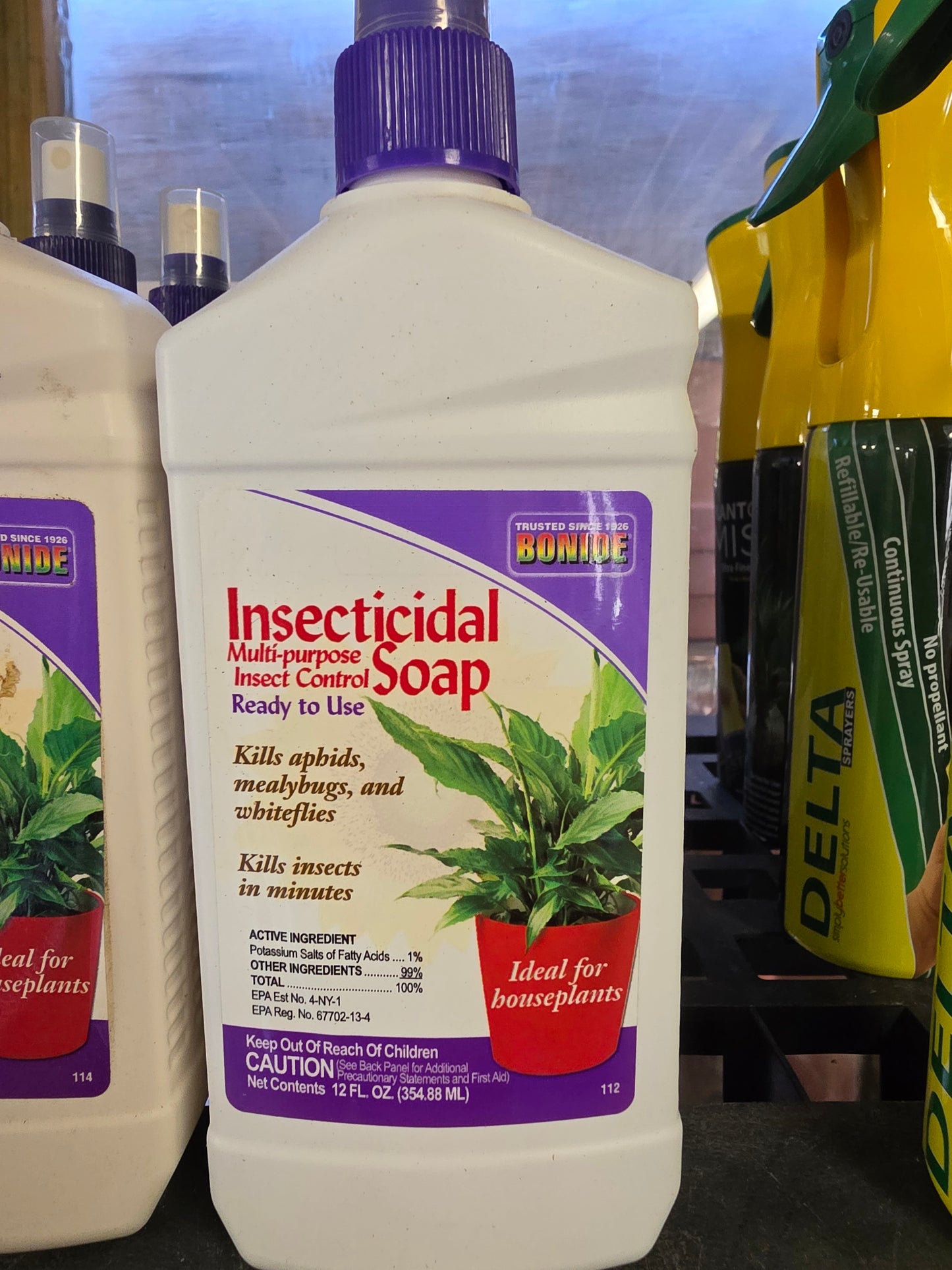 Houseplant Care
