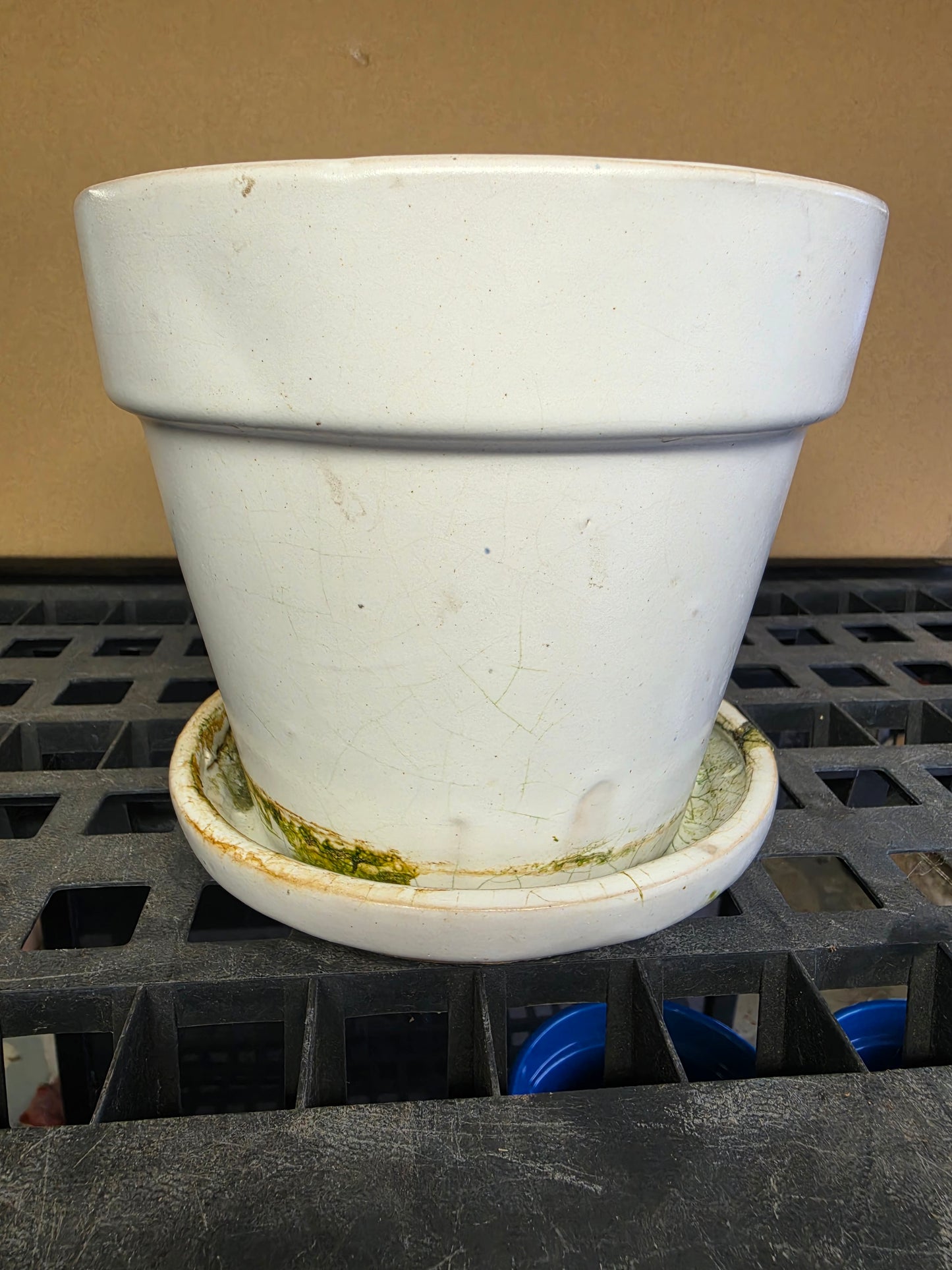 Used Pottery