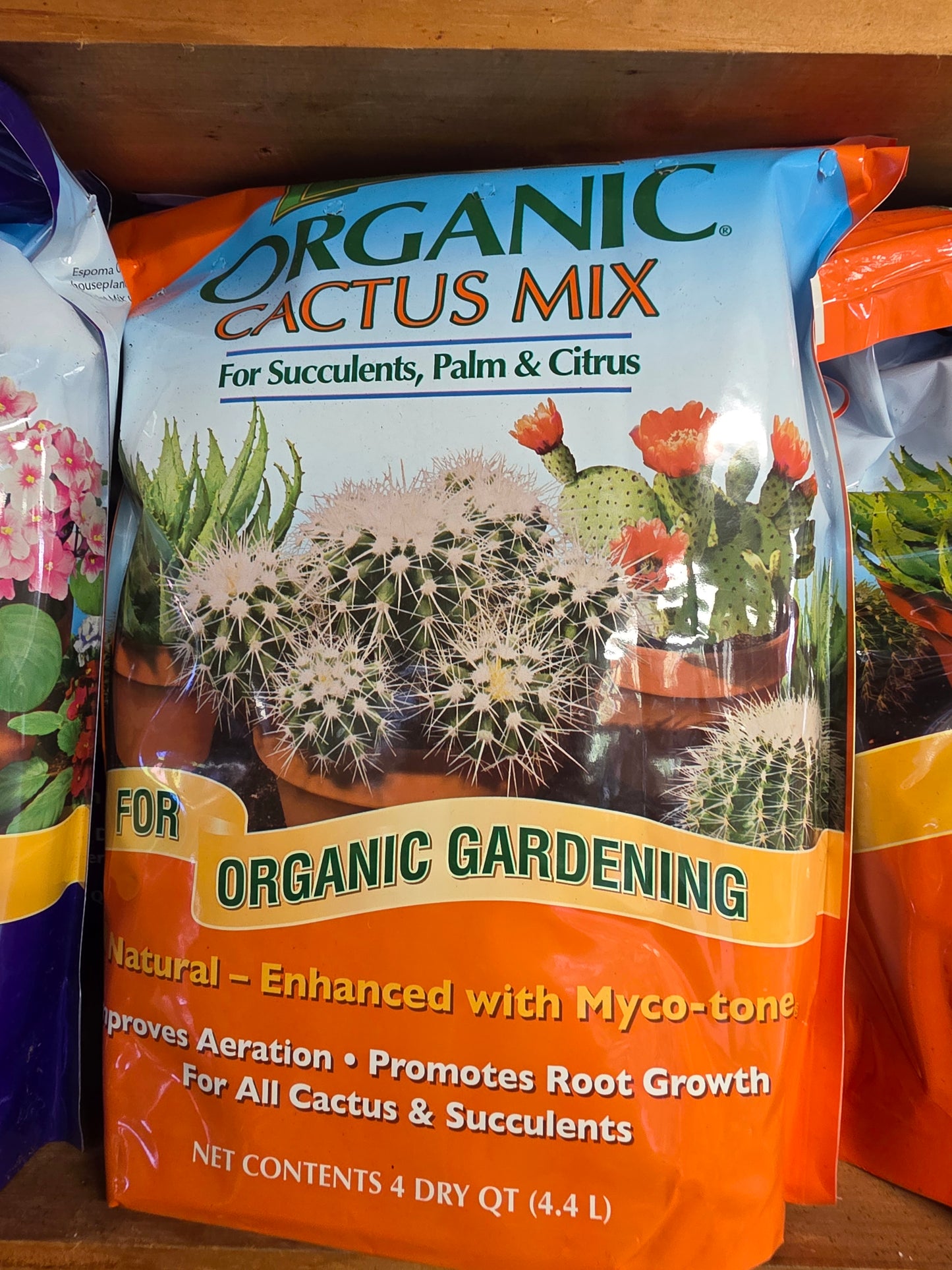 Houseplant Care