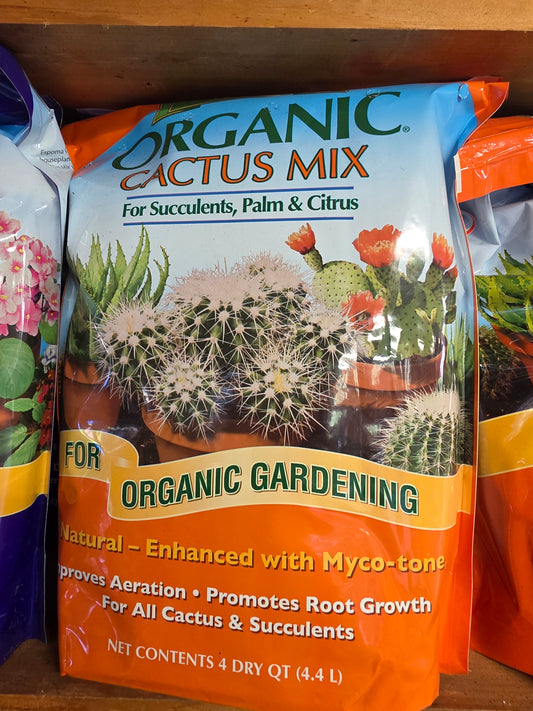Houseplant Care