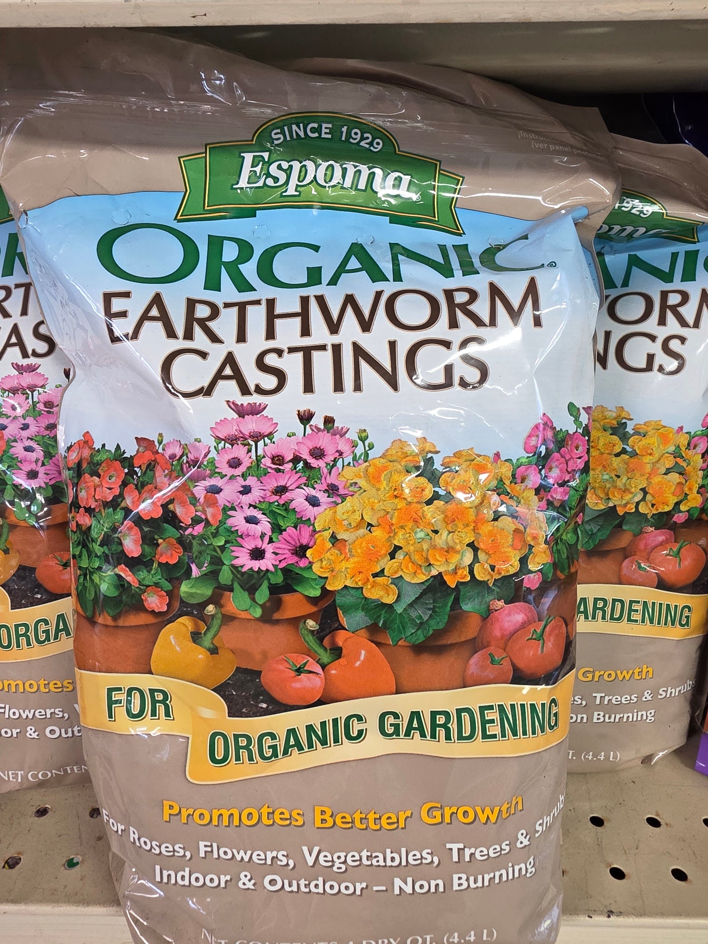 Houseplant Care