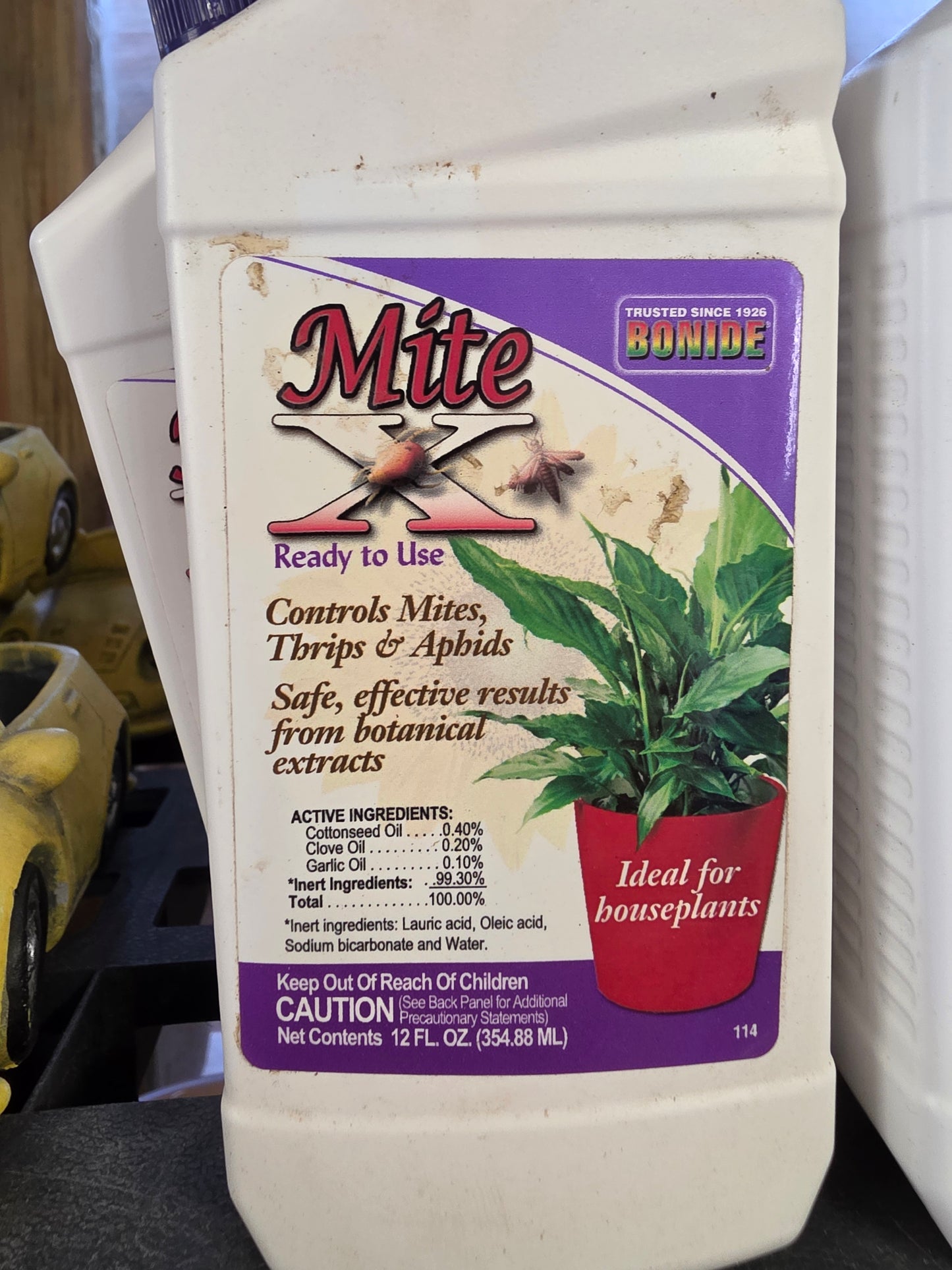 Houseplant Care