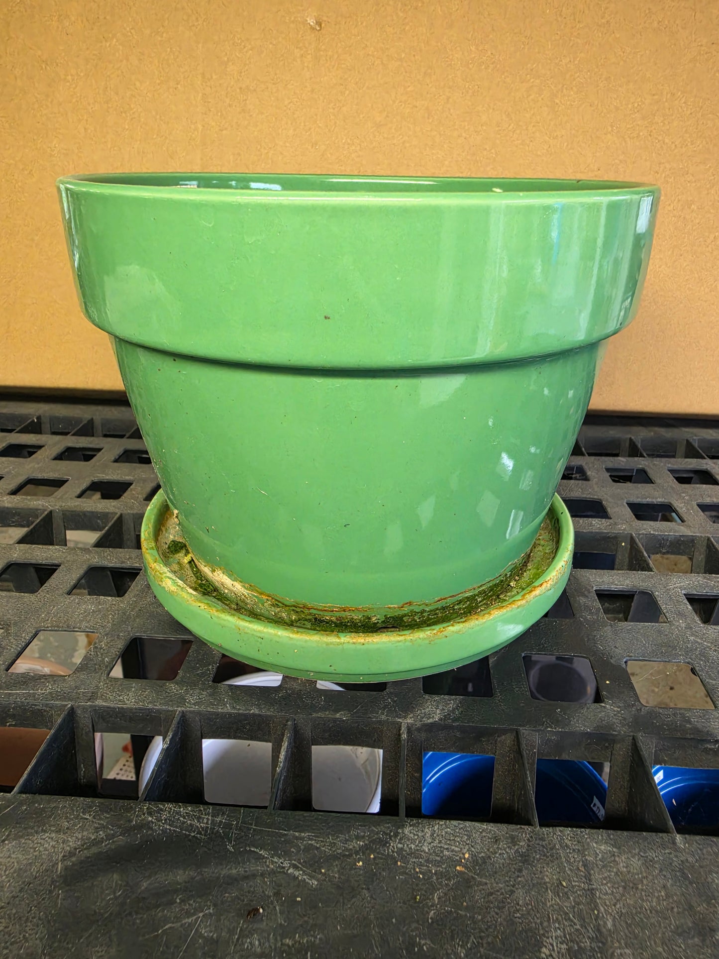 Used Pottery