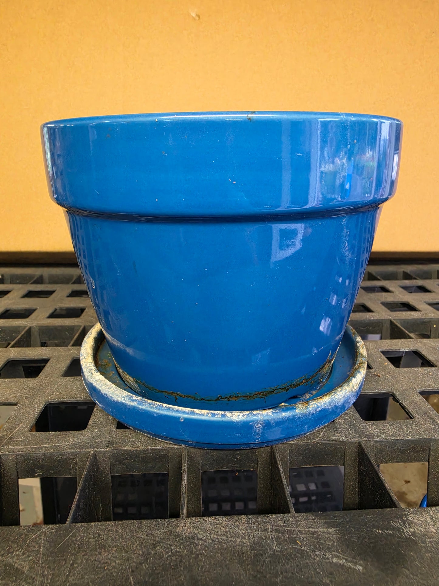 Used Pottery