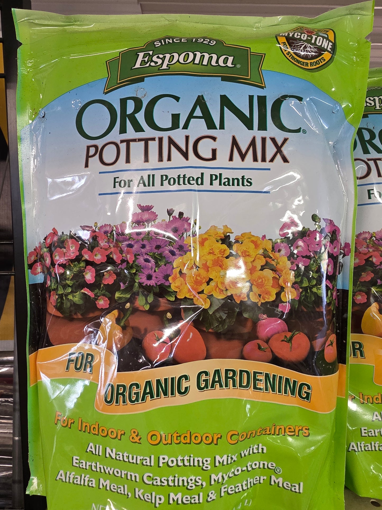 Houseplant Care
