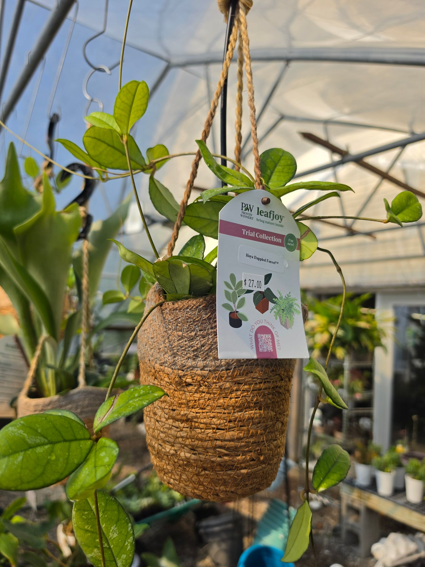Planters