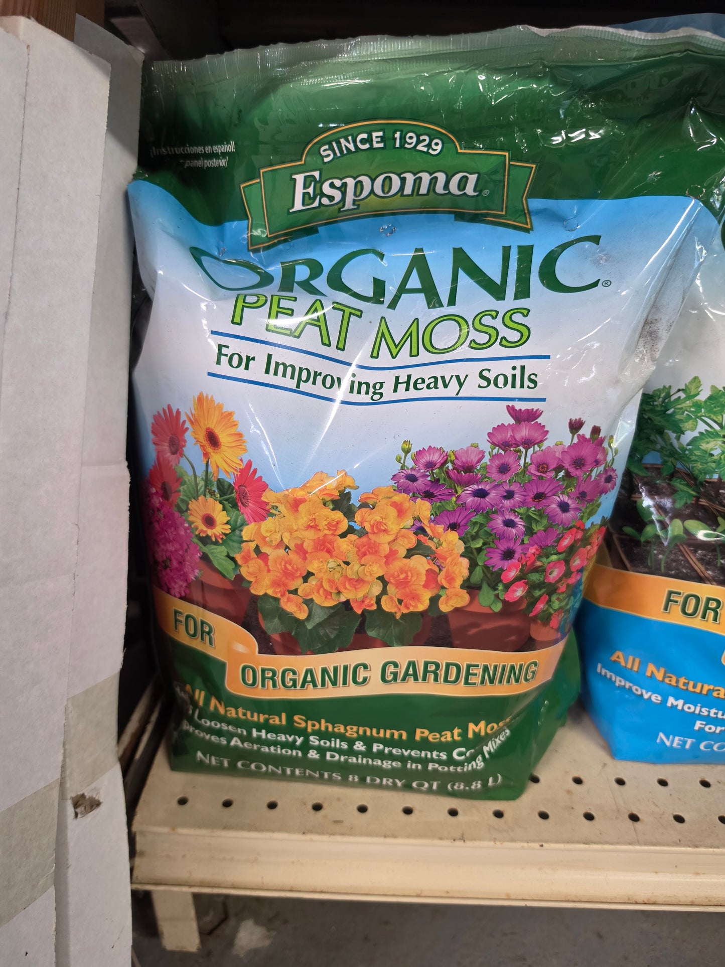 Houseplant Care