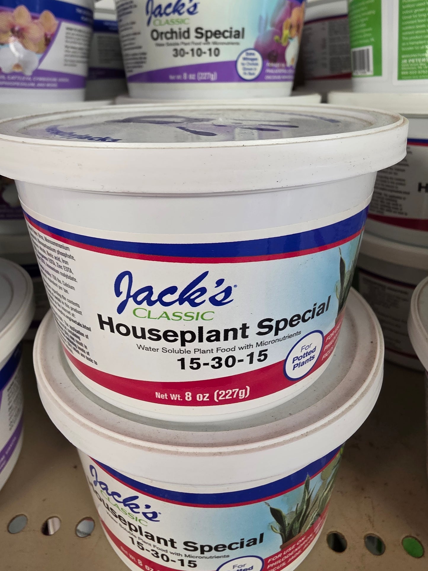 Houseplant Care